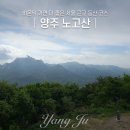 비온뒤 이미지
