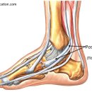 명작한의원 이미지
