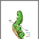 올데이 옥스필드 이미지