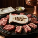 해달장
