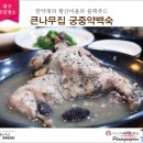 달구벌 명인의 손맛 큰나무집 궁중약백숙 대구 약령시점 떠나보고서!