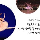 발레베리떼 이미지