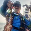 스타13 이미지