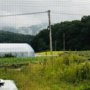 조물조물 생활도에 | 2025.9.27.-28. : 달두개 학교에서 만난 여자들