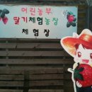 구면농장 네이버블로그
