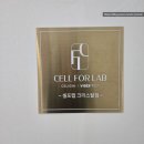 크리스탈체험관리 | 누워서 다이어트가 가능하다고? 울산 셀포랩 크리스탈점 체형관리 체험 후기 🛏️✨