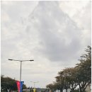 홍스랜드 | 제주항 펜션 가성비 최고 수영장 구비된 제주항 숙소 홍스랜드 내돈내산 후기