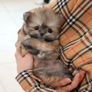 송이로14길 이미지