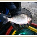 약산낚시터 이미지