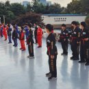 백호타이거즈태권도 이미지