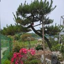 주석농장 이미지