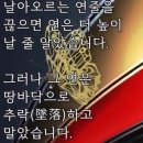 삶의 역설 이미지