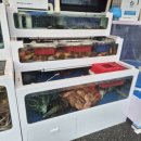 해수바다이야기 이미지