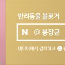 천지동물병원 이미지