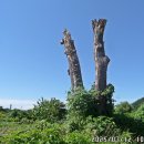 고양누리길 13코스 오선누리길 이미지