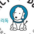 릴리리독 이미지