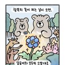 소망6 이미지