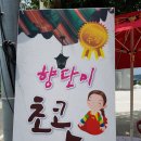 춘향식품 이미지