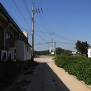 보은장모텔 이미지