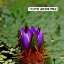 국립수목원 광릉 이야기 이미지