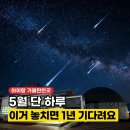 서산시농업기술센터 | 5월 서산 가볼만한곳 아이랑 같이 즐기는 제18회 류방택 별축제 총정리