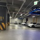 그릴에 고기 | 인천 용현동 맛집 쇠나무 그릴 인하대 고기집 추천 후기