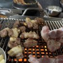 손문갈매기