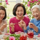 국화약국 | 무궁화 다이어트 대박 효과! 지방 65% 억제되는 국화의 놀라운 비밀 완전 공개합니다