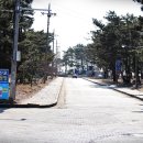 몽산포오토캠핑장 이미지