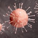 용답원약국 이미지