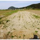 영해공인중개사사무소 이미지