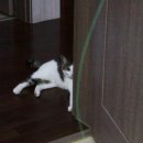 쟁이 이미지
