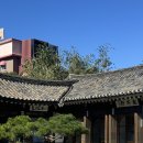 채향 | [파주,일산카페] 한옥카페 공간채향 후기 _반려동물 동반가능