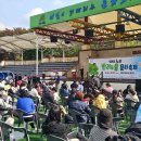 호수공원 실내수영장 | [경기도 안산시 상록구] 반가운축제 (반려견과 가치있게 운동하는 축제)