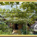 삼용2리 이미지