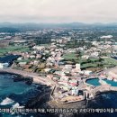 다모앙 제주