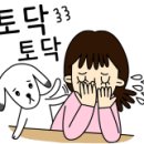 디디동물병원 이미지