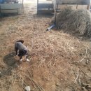 진현농장 이미지