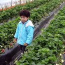 운향농장 이미지