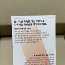 인스테드(Instead)