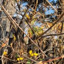 연세스포츠사우나 이미지