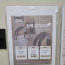 테라피 요가 & 매트 필라테스 | 마곡에서 경험한 폼롤러테라피 수업, 오뮤요가N필라테스 후기