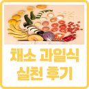 채소 과일식 후기 | 조승우 한약사의 &lt;채소 과일식&gt; 실천🍎🥬