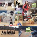 댕댕이네 이미지