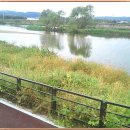 공릉천자전거도로변 이미지