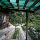 버들치민박 이미지