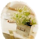 아름다운 그님 이미지