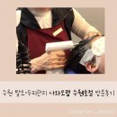 경기도 수원시 팔달구 수원천로210번길 이미지