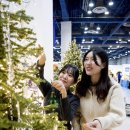 홈디자인데코 이미지