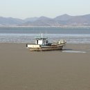 종일1 태양광발전소 이미지